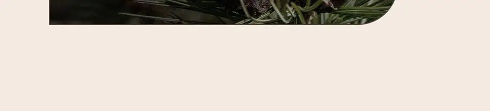 [덱스 PICK]오브제 멜로우 클레이 포마드100g 상세페이지 18
